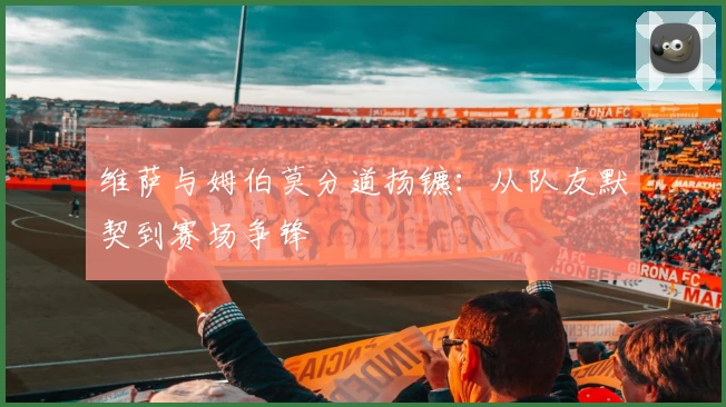 维萨与姆伯莫分道扬镳：从队友默契到赛场争锋
