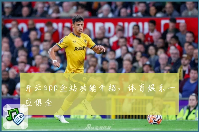 开云app全站功能介绍，体育娱乐一应俱全