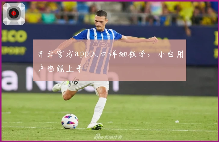 开云官方app入口详细教学，小白用户也能上手