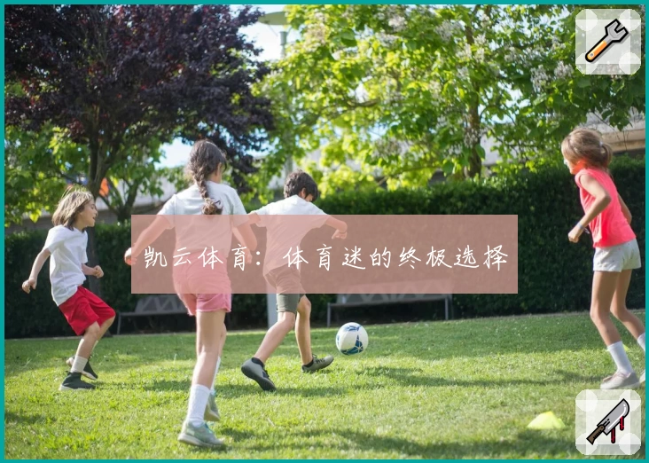 凯云体育:体育迷的终极选择