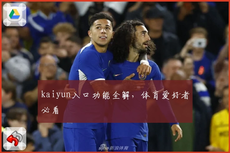 kaiyun入口功能全解,体育爱好者必看